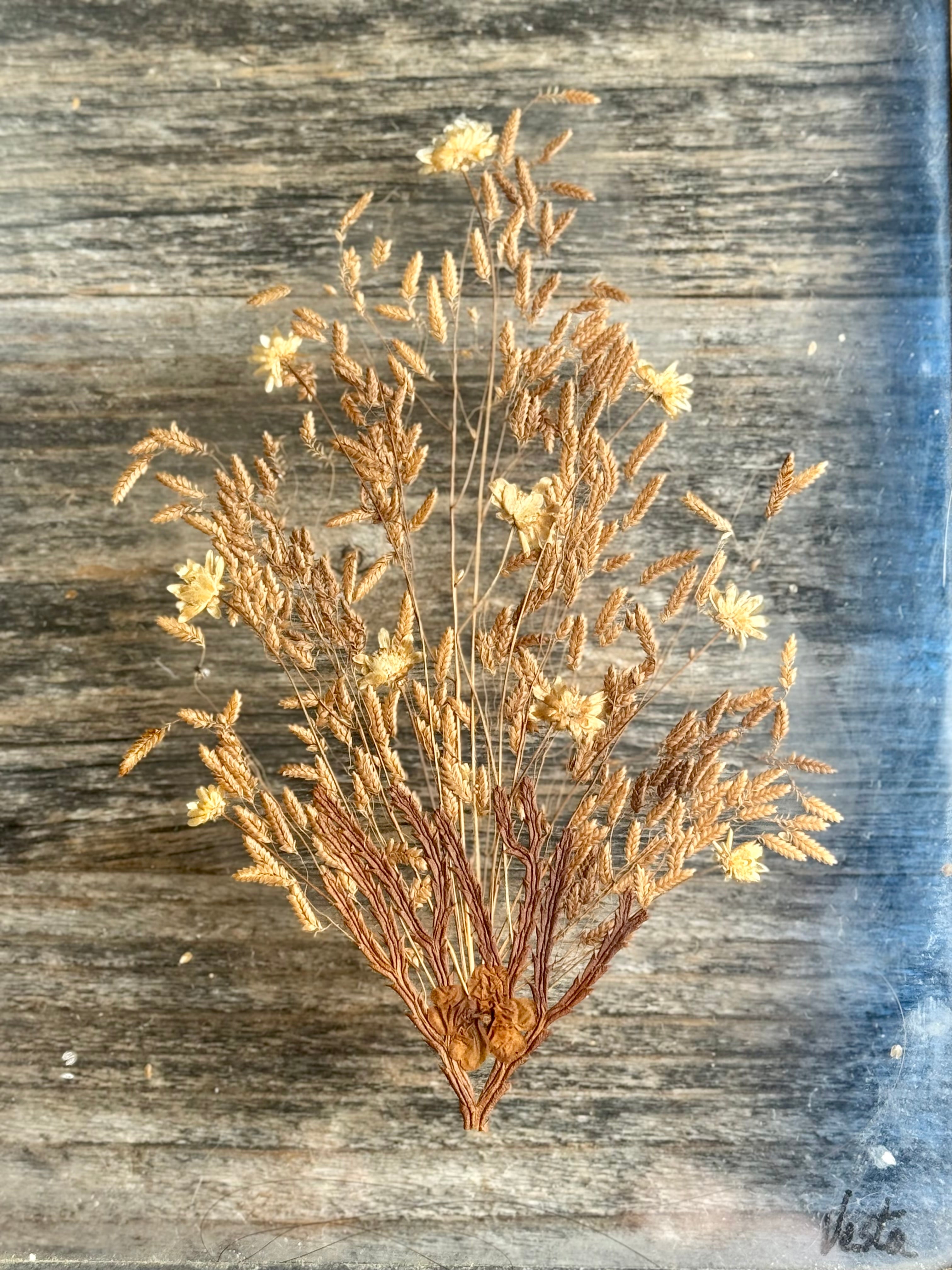 Vintage Stain glass Sun Catcher w/ Dried Flower Insert