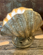 Vintage Silver Clam Shell Table Lamp
