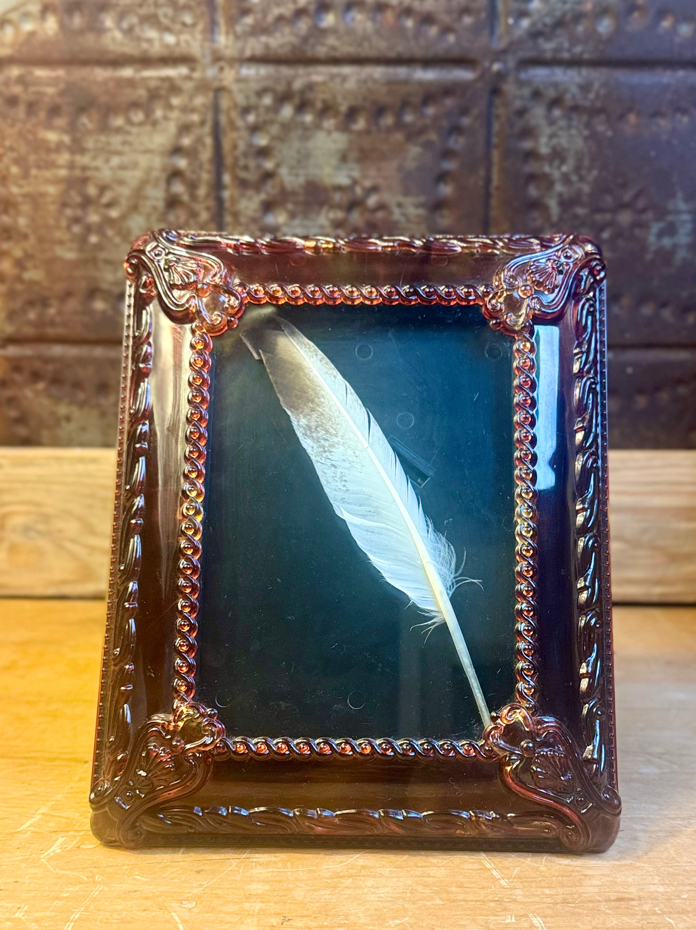 Vintage Dark Amber Tortoise Shell Frame