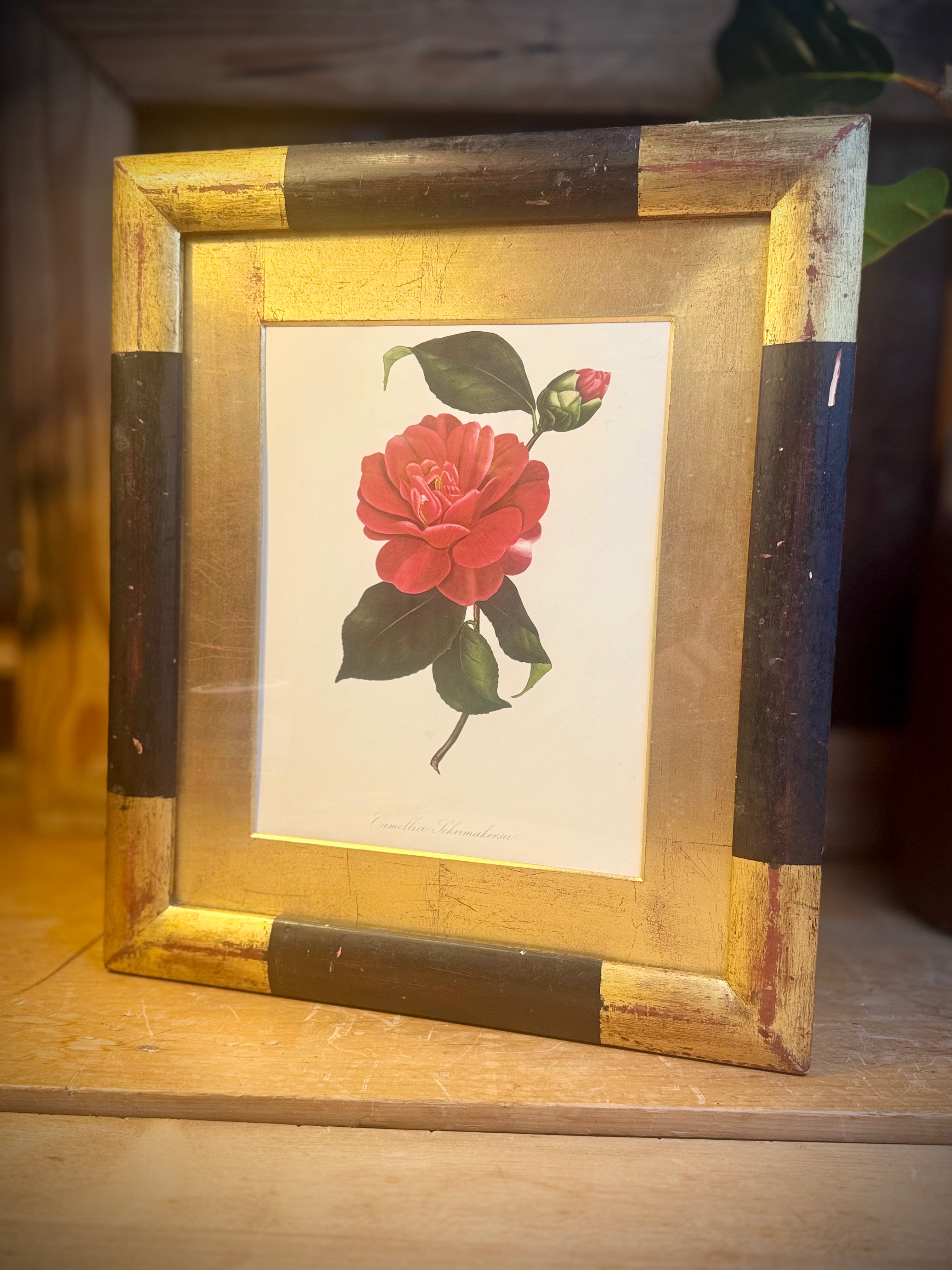 Gold/Black Frame w/ A Red & Pink Camellia Flower