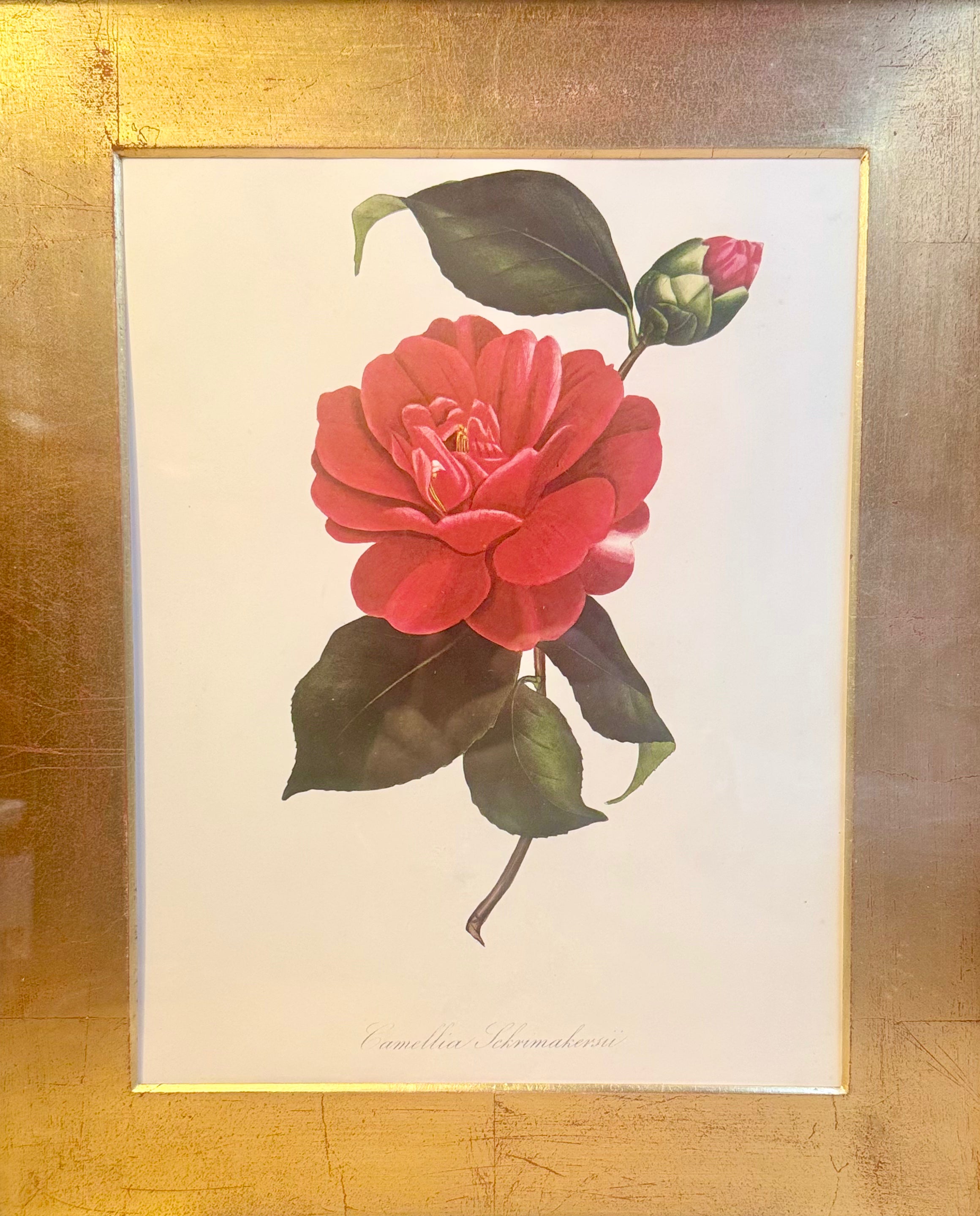 Gold/Black Frame w/ A Red & Pink Camellia Flower