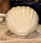 Shell Sponge Holder